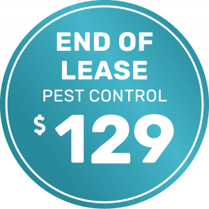 Pest Control End of lease single story 1