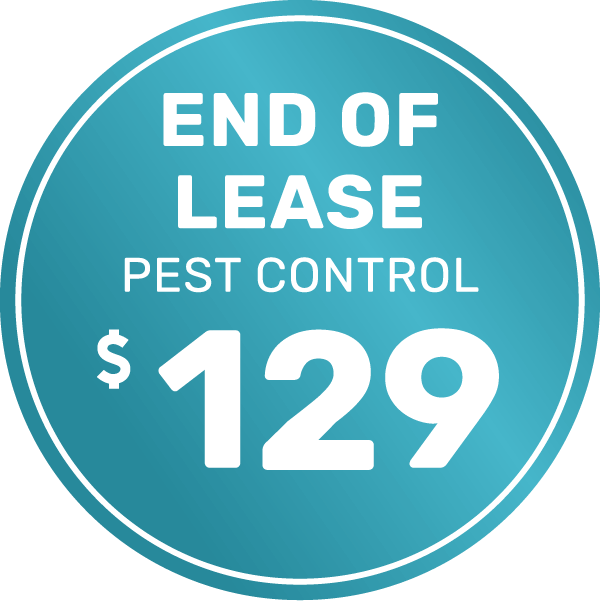 Pest Control End of lease single story 1